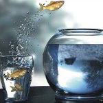Comfort Zone: wie kann man es erweitern?