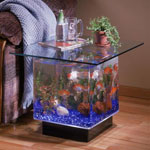 Aquarium mit eigenen Händen Aquarium mit eigenen Händen