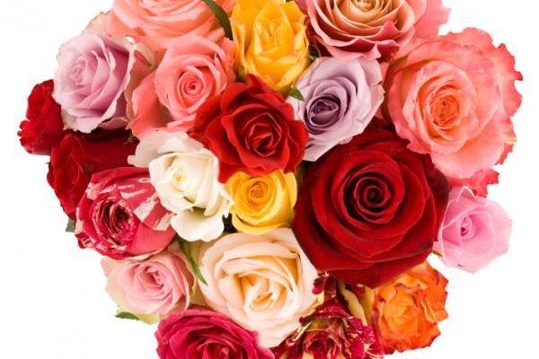 Valentinstag 2016: originelle Geschenke und die besten Grüße im Vers