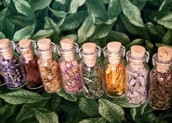 Diese Pflanzen schützen dich und dein Haus vor dem bösen Blick: Gemüse-Amulette vor dem Verderben