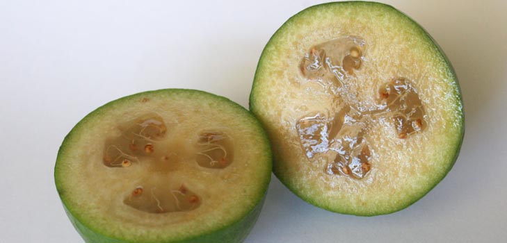 Feijoa - nützliche Eigenschaften, Nutzen und Schaden von feijoa