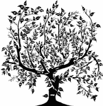 Genealogie, Familiengeschichte. Lokale Volkszählungen