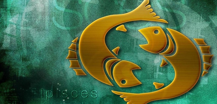schönes Bild von Fischen