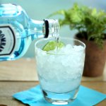 Wie man Gin trinkt