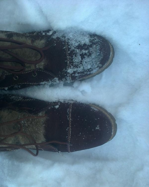 Wie man Wildlederschuhe zu Hause säubert