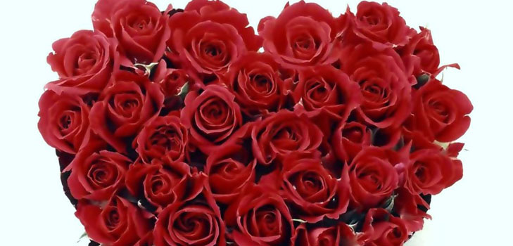 Wie man einem Mädchen am Valentinstag gratuliert: Die besten Möglichkeiten
