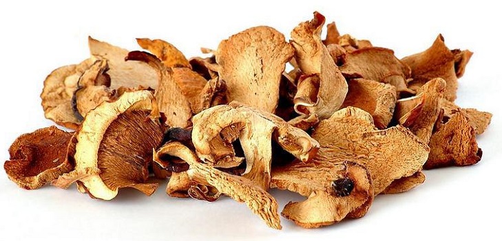 Pilze trocknen