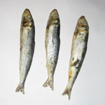 Wie man Fisch trocknen