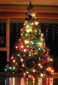 Wie man einen Weihnachtsbaum schmückt