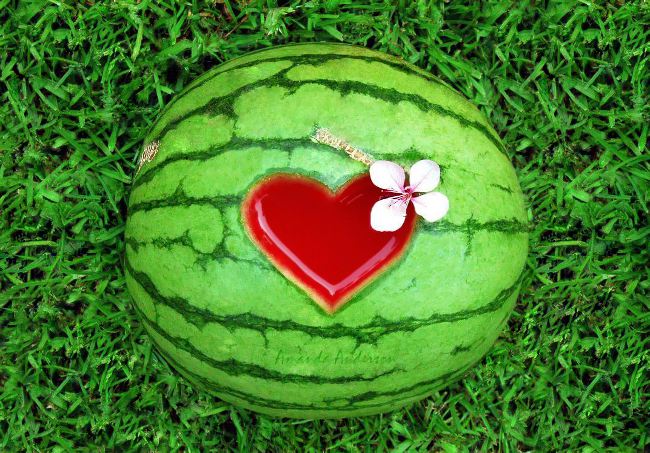 Wie wähle ich eine Wassermelone?