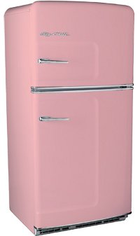 Wie wähle ich einen Kühlschrank?