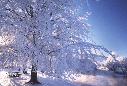 Was ist der Winter 2014 - 2015, Wettervorhersagen