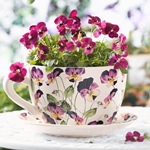 Welche Blumen gibt es am 8. März?
