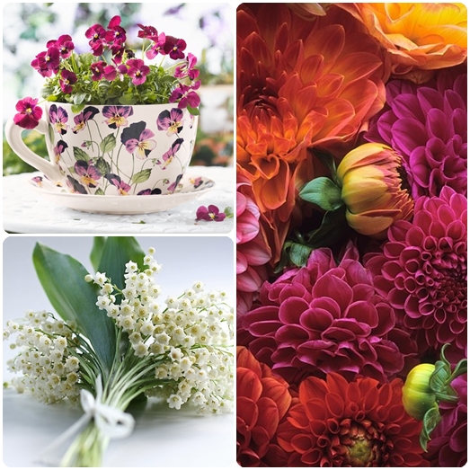 Welche Blumen gibt es am 8. März?