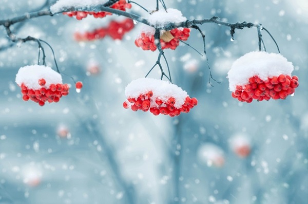 Was wird der Winter 2017-2018 in Russland und der Ukraine sein - die genaueste Vorhersage des Hydrometeorologischen Zentrums