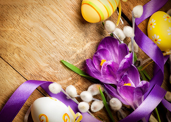 Herzlichen Glückwunsch zu Ostern 2017 - kurz