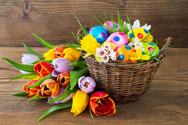Herzlichen Glückwunsch zu Ostern 2017 - kurz