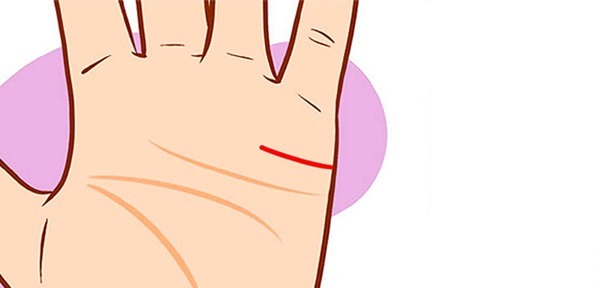Die Hochzeitslinie auf der Hand