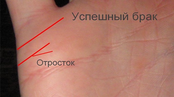 Die Hochzeitslinie auf der Hand