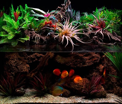 Ein Aquarium mit eigenen Händen machen