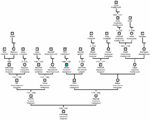 Erste genealogische Forschung