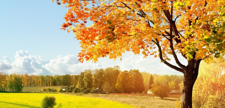Lieder über den Herbst für Grundschule, Kindergarten und Jugendliche