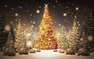Lieder am Weihnachtsabend