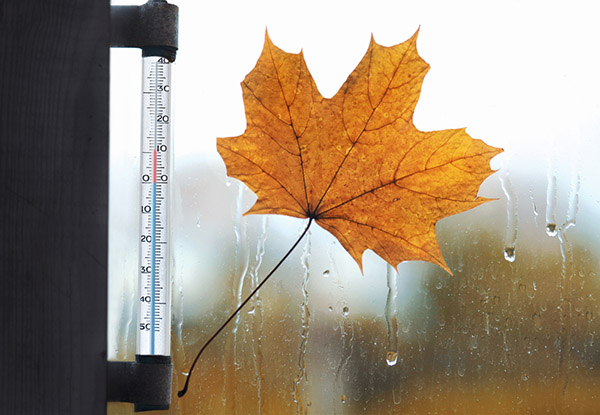 Wie wird das Wetter in Moskau und der Region Moskau im Oktober 2017 sein?