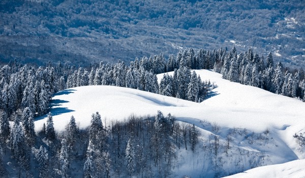 Das Wetter in Sotschi im Februar 2017