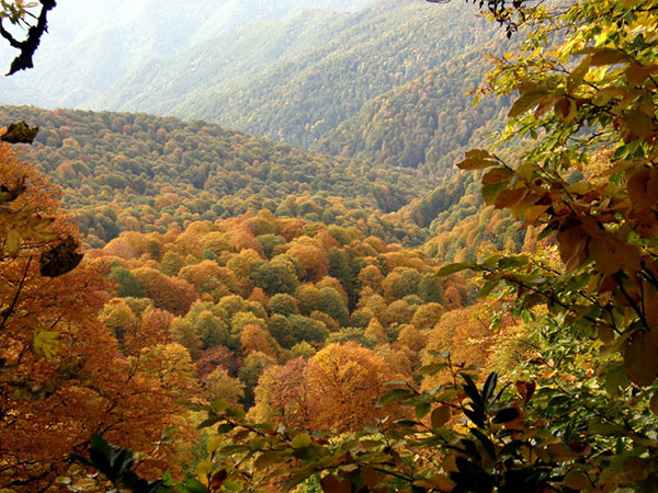 Wetter in Sotschi im Oktober 2017
