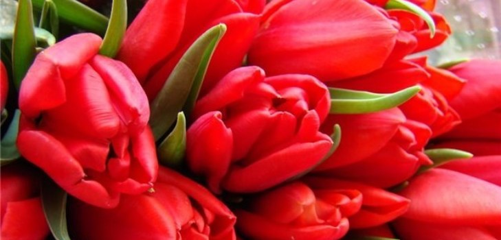 Blumenstrauß