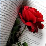 Herzlichen Glückwunsch zum Valentinstag in Versen