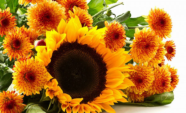 Herzlichen Glückwunsch zum Teacher's Day 2017 in Prosa, Poesie und Bildern