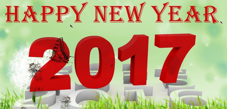 Herzlichen Glückwunsch Frohes Neues Jahr 2017 Hahn