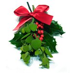 Weihnachtstraditionen in verschiedenen Ländern. Teil 2