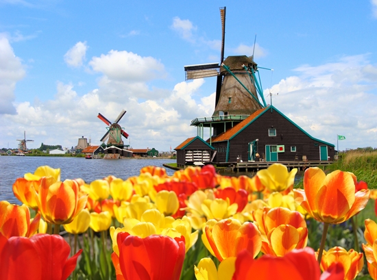 Mit der Welt in einem Thread: was aus Holland bringen