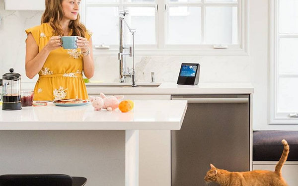 Smart Home Akustik: Amazon Echo Show System