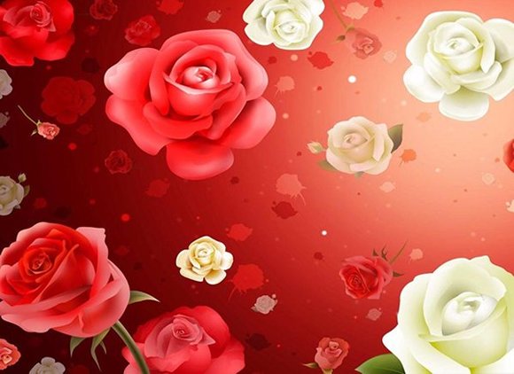 Zeichnung von Rosen