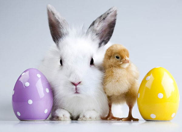 Sms mit Ostern 2017
