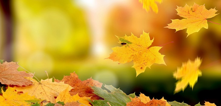 Kurze und schöne Gedichte über den Herbst für Kinder im Kindergarten und in der Schule