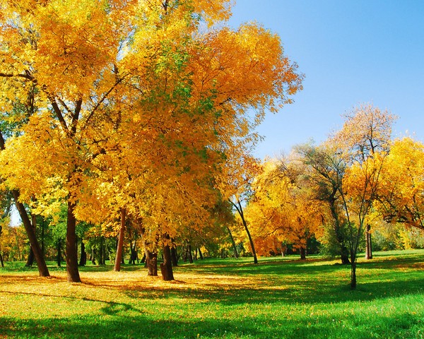 Kurze und schöne Gedichte über den Herbst für Kinder im Kindergarten und in der Schule