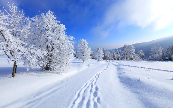 Gedichte über den Winter für Kinder: Möglichkeiten für Kindergarten und Schule. Schöne kurze Verse von russischen Dichtern über den Winter