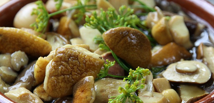 Weiße Pilze: Rezepte zum Kochen köstlicher Gerichte