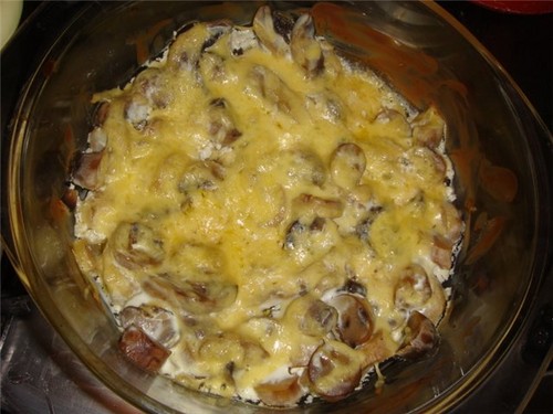 Weiße Pilze: Rezepte zum Kochen köstlicher Gerichte