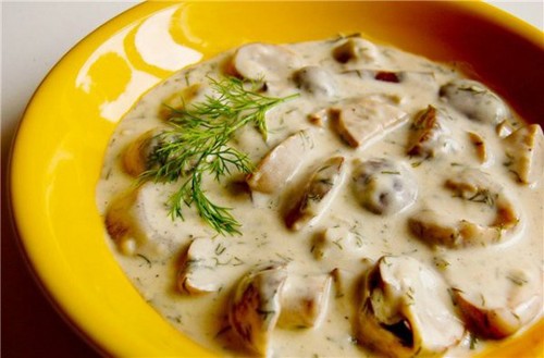 Weiße Pilze: Rezepte zum Kochen köstlicher Gerichte