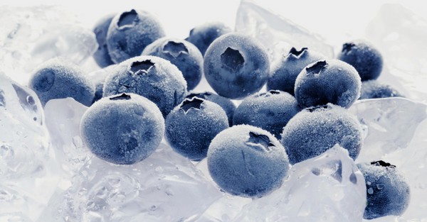 Blaubeerrezepte für den Winter