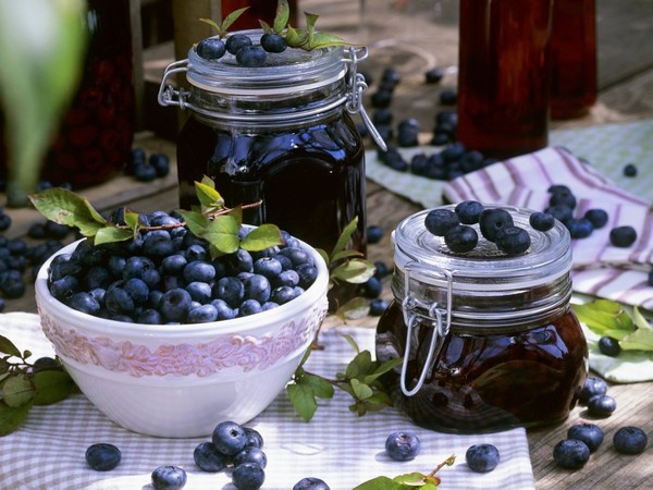 Blaubeerrezepte für den Winter Blaubeerrezepte für den Winter