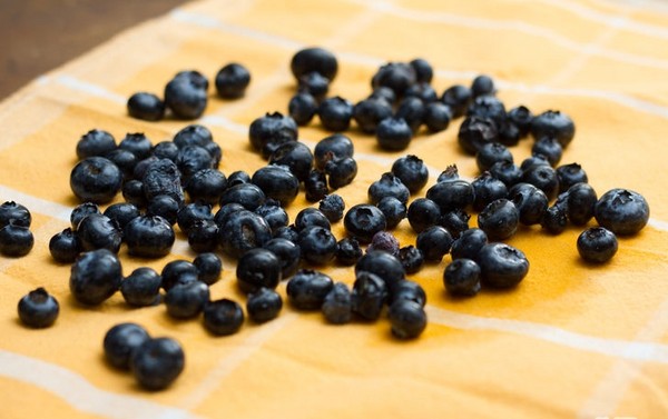 Blaubeerrezepte für den Winter