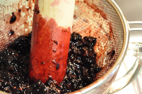 Blaubeerrezepte für den Winter