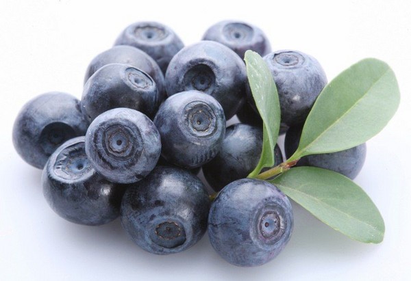Blaubeerrezepte für den Winter